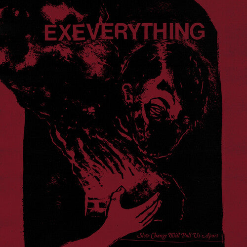 Ex Everything - Slow Change Will Pull Us Apart (Vinyl LP)