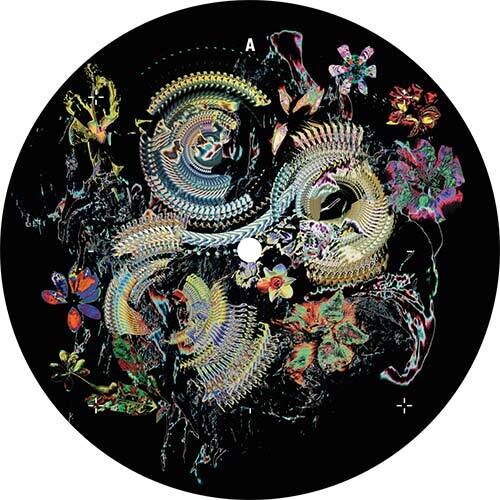 Victor Ruiz - Bloom (Vinyl LP)