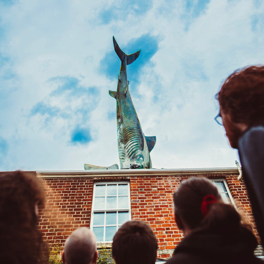 Anti-Fun Propaganda - Neon Yellow [Colored Vinyl] (Ylw)