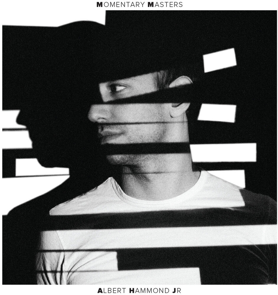 Momentary Masters [LP]