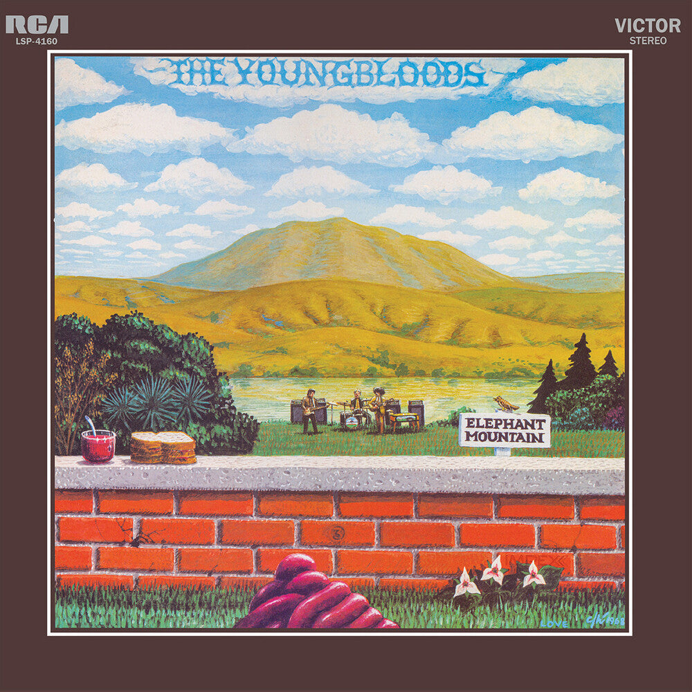 Elephant Mountain [180 Gram]