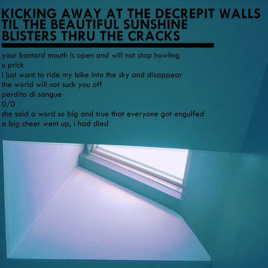 Kicking Away At The Decrepit Walls [Limited Edition]