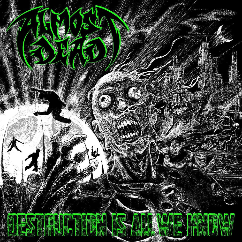 Destruction Is All We Know [LP]
