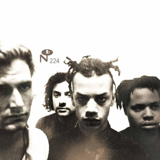 Butterflies Don't Go Away [LP]