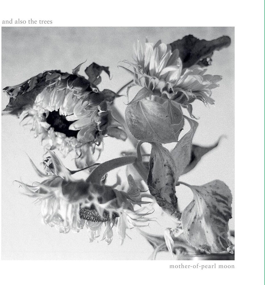 Mother-Of-Pearl Moon (Uk) [LP]