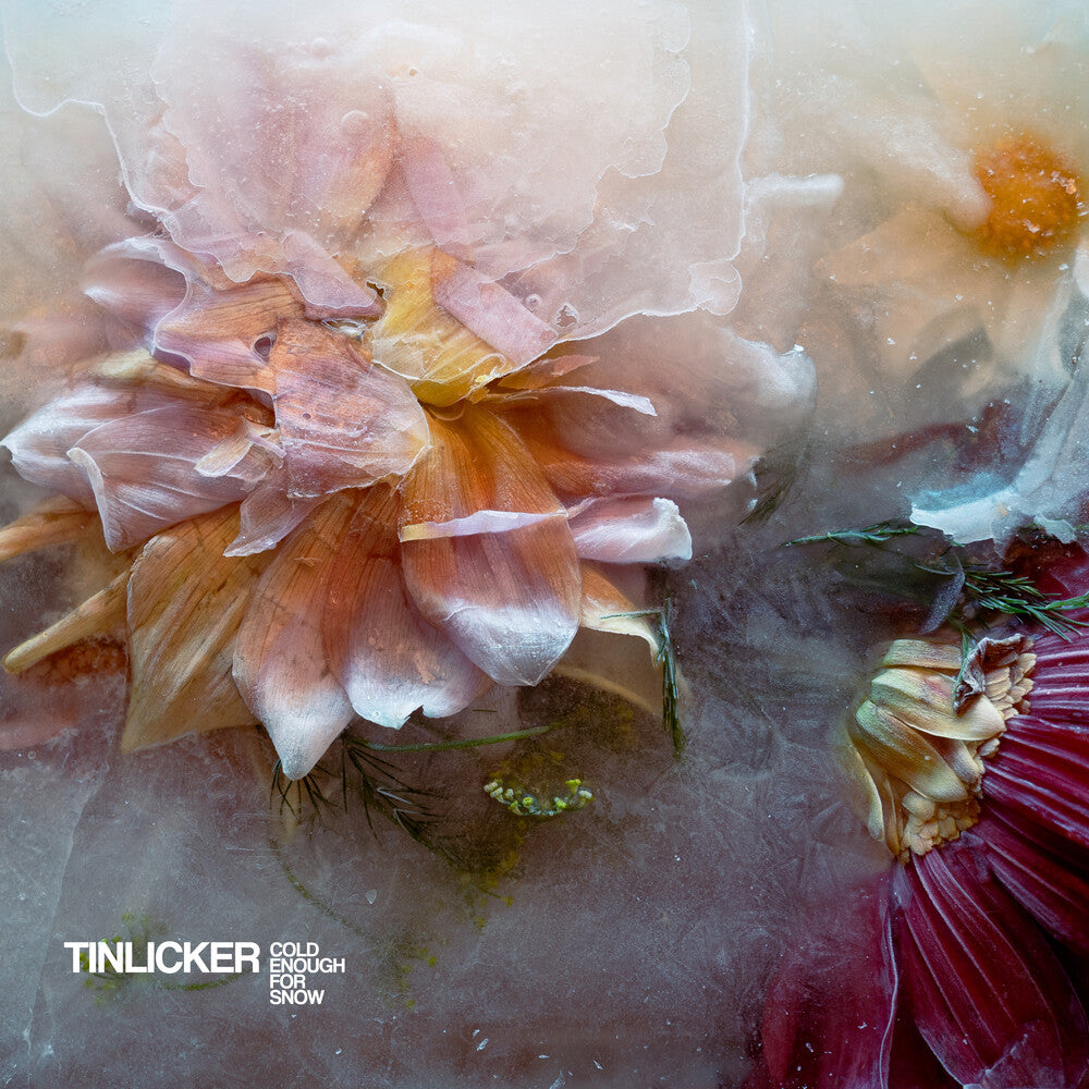 Cold Enough For Snow [LP]