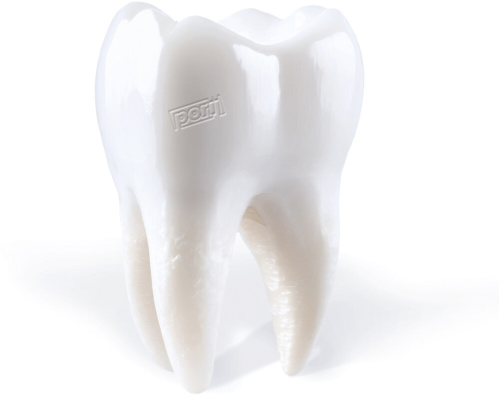 Teething [LP]