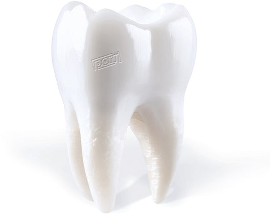 Teething [LP]