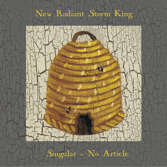 Singular No Article [Limited Edition]