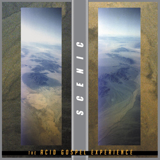 Acid Gospel Experience [Clear Vinyl] (Grn) [Record Store Day]