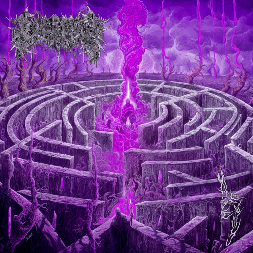 Maze Envy [Colored Vinyl] [Limited Edition] (Mgta) (Purp)