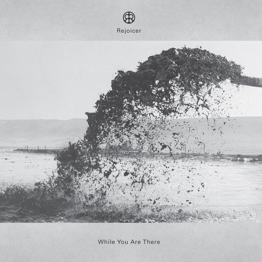 While You Are There [LP]
