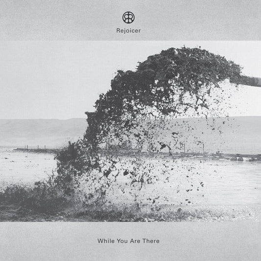 While You Are There [LP]