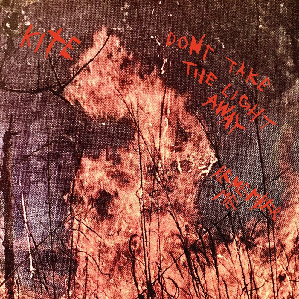 Don't Take The Light Away / Remember Me (Ylw) [7" Vinyl]