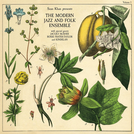 Sean Khan Presents The Modern Folk & Jazz Ensemble [LP]