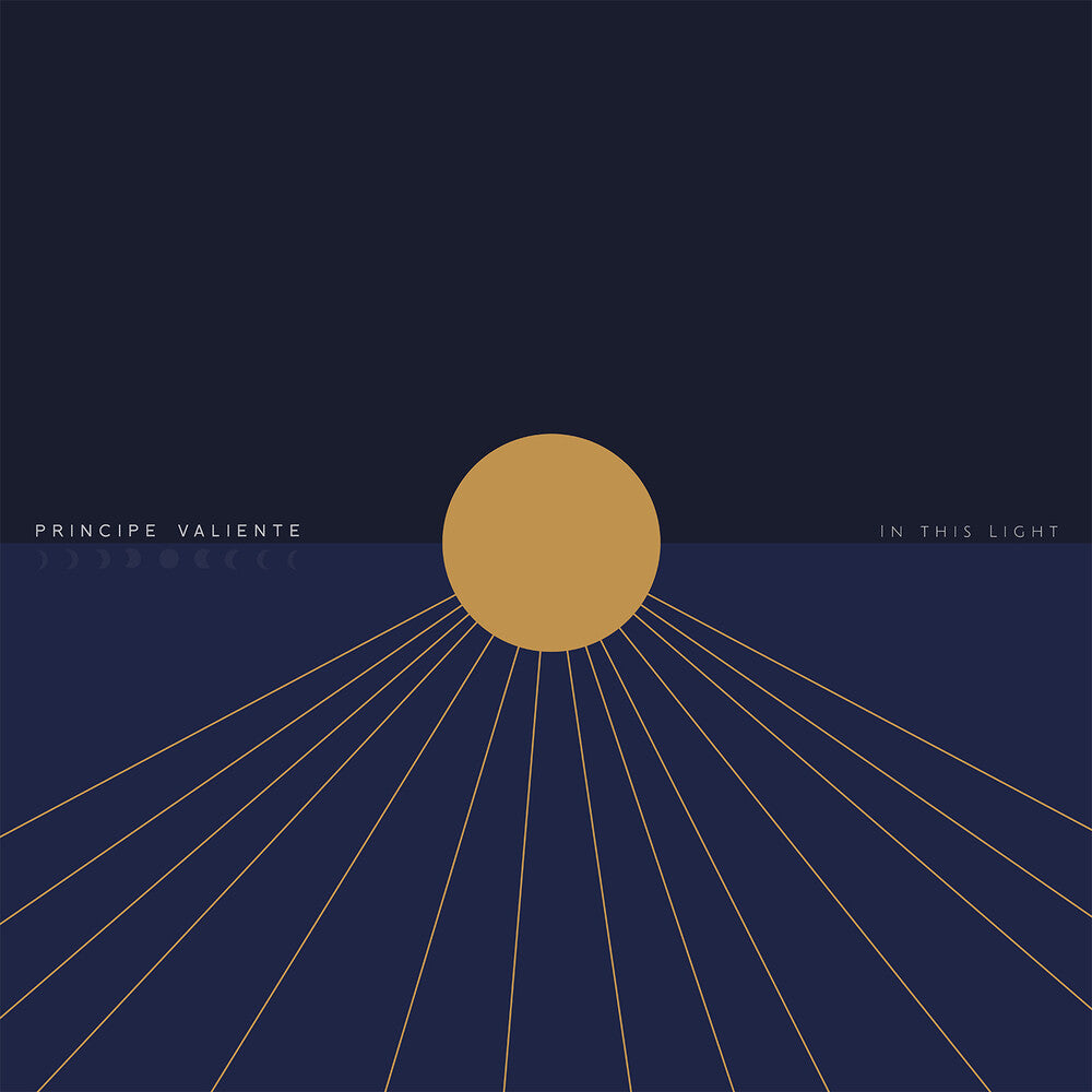In This Light [LP]