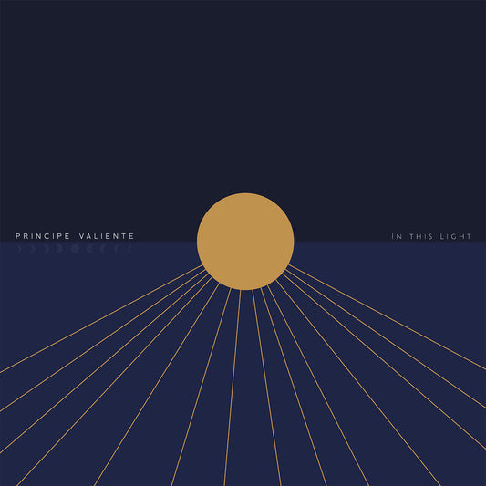 In This Light [LP]