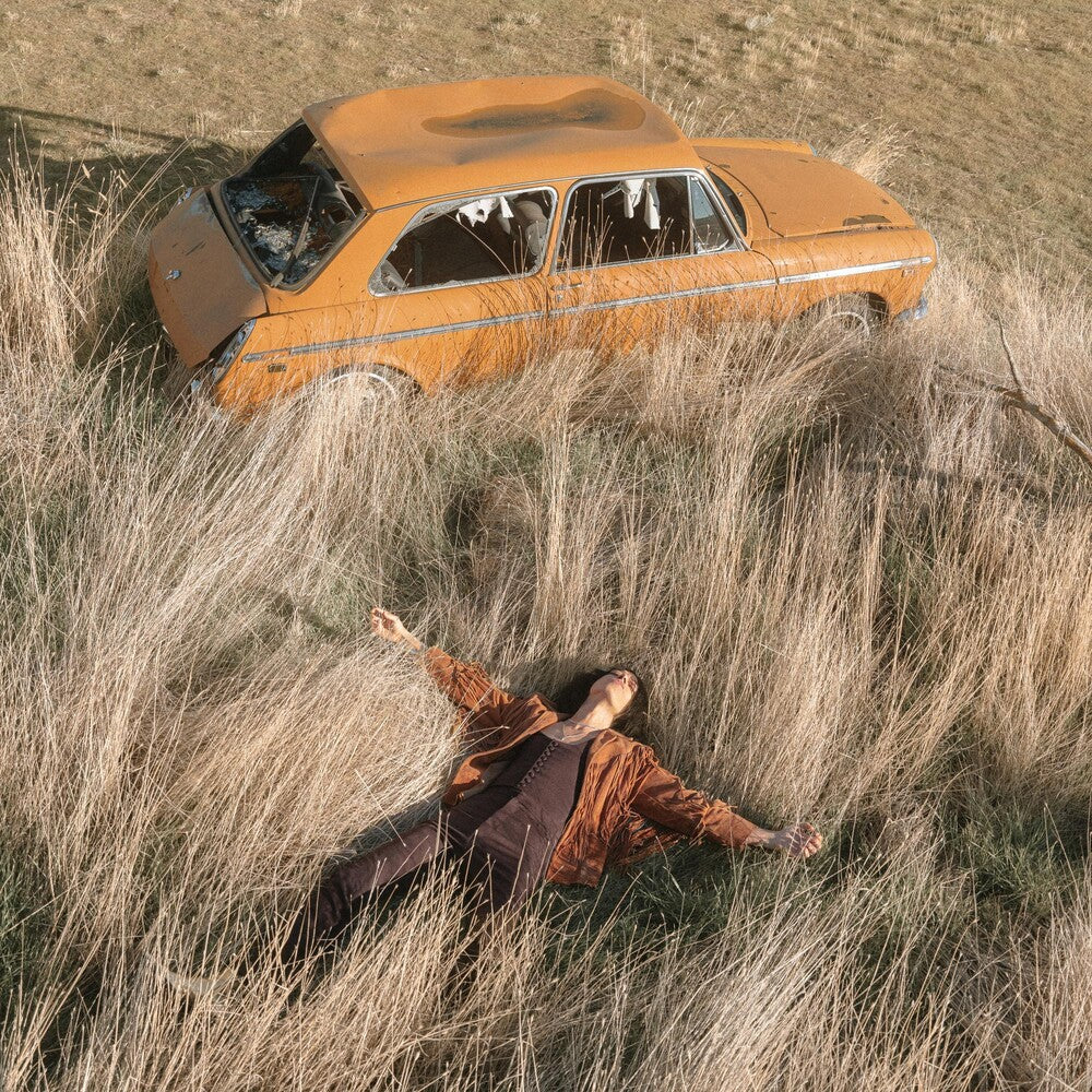 Plow That Broke The Plains [LP]