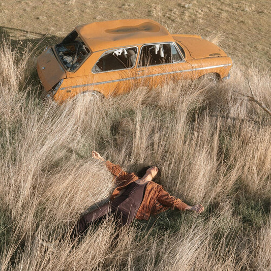 Plow That Broke The Plains [LP]