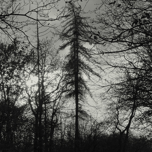 Feral Earth [LP]