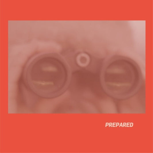 Prepared - Rose Pink Vinyl (Uk) [LP]