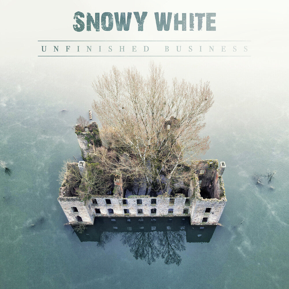 Unfinished Business [LP]