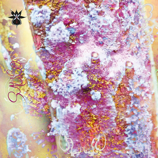Sauco [LP]