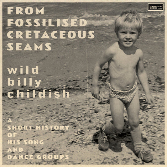 From Fossilised Cretaceous Seams: A Short History [LP]