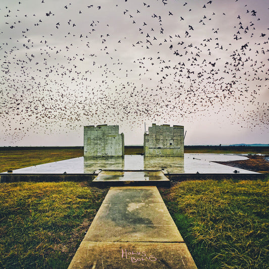 Holus Bolus (Gate) [LP]