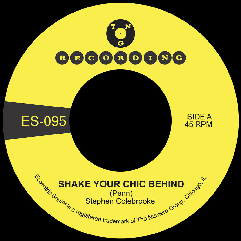 Shake Your Chic Behind / Stay Away From Music [7" Vinyl]