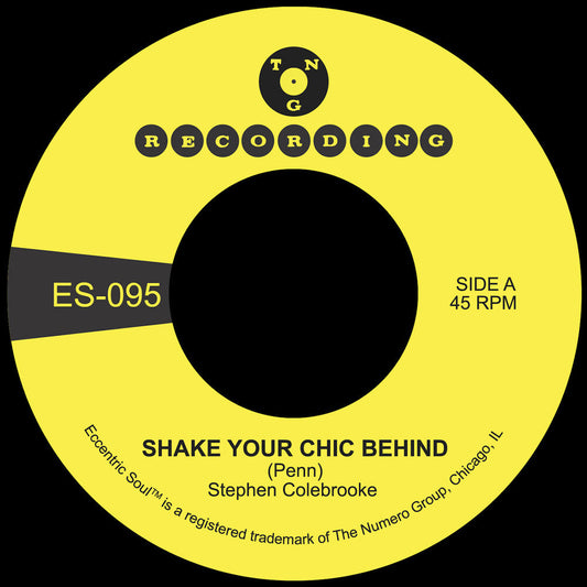 Shake Your Chic Behind / Stay Away From Music [7" Vinyl]