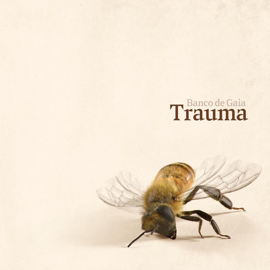 Banco De Gaia - Trauma [LP]