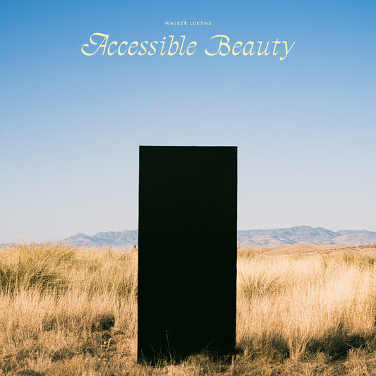 Accessible Beauty [LP]