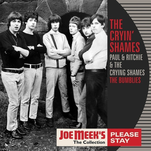 Please Stay [LP]