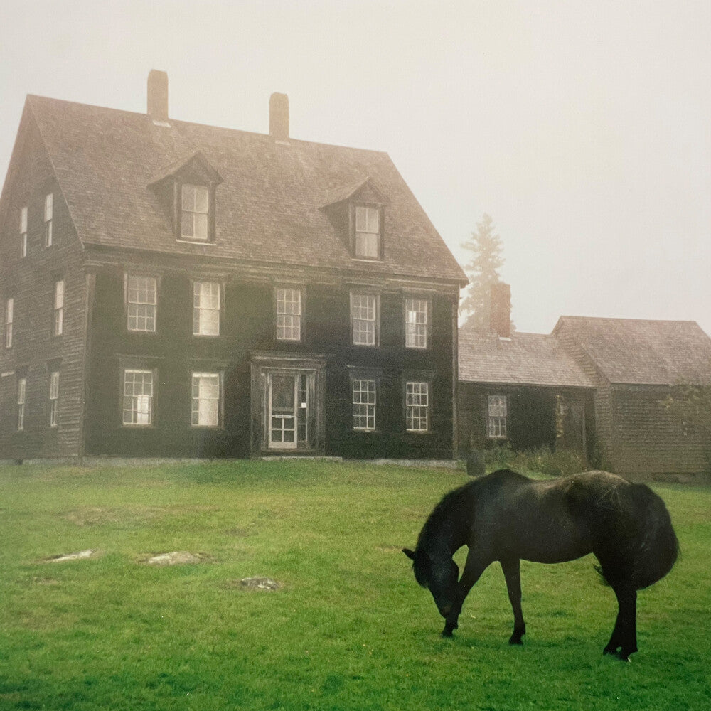 Academy - Meadow Green [Colored Vinyl]