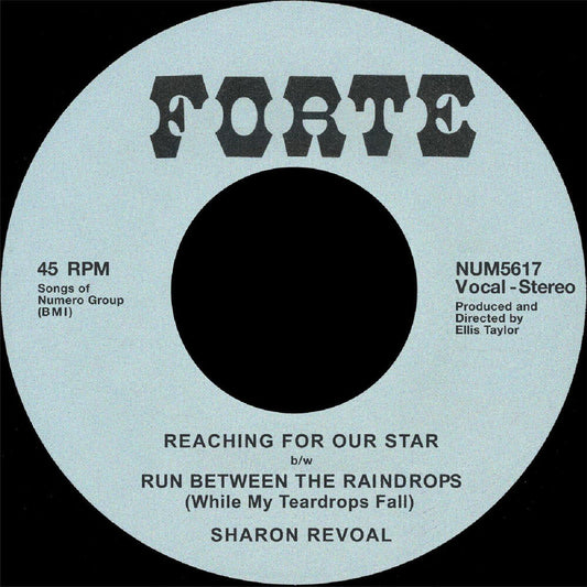 Reaching For Our Star B/W Run Between Raindrops [LP]
