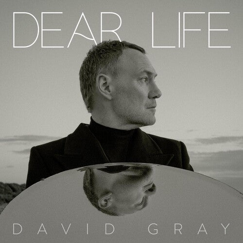 David Gray - Dear Life (Vinyl LP)