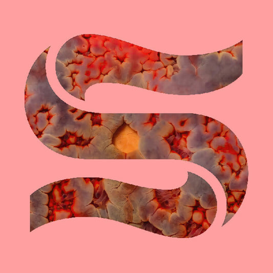 Neptunes [Download Included]