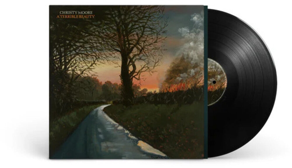 Terrible Beauty [LP]