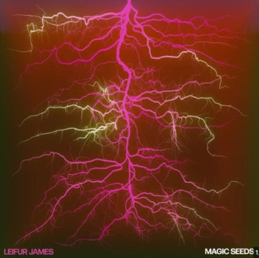 Magic Seeds [LP]
