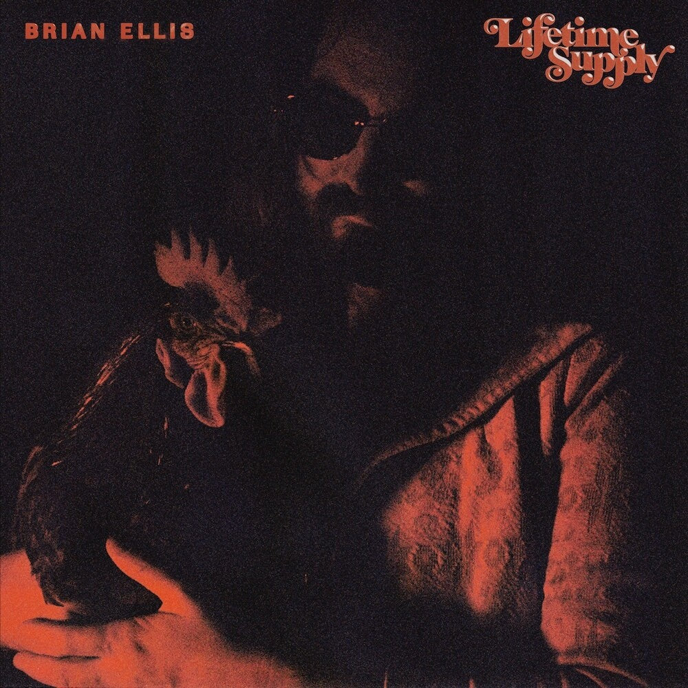 Lifetime Supply [LP] - Golden Apple Comics