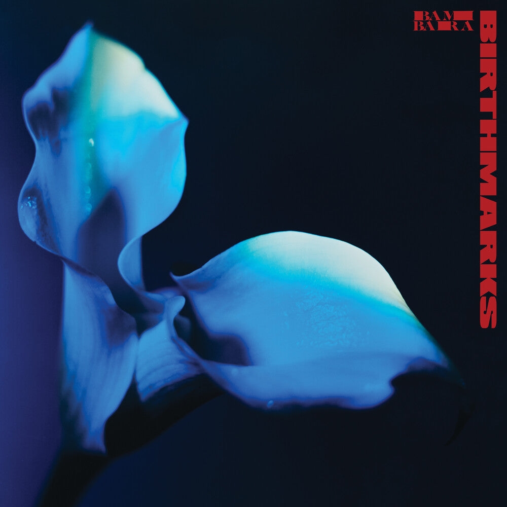 Birthmarks (Blue) [Colored Vinyl]
