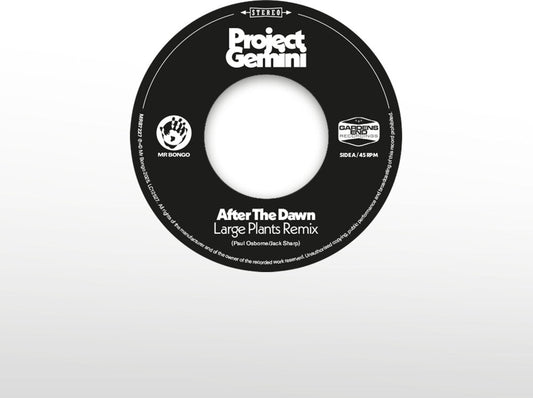 After The Dawn - Large Plants Remix / Darkness [LP]