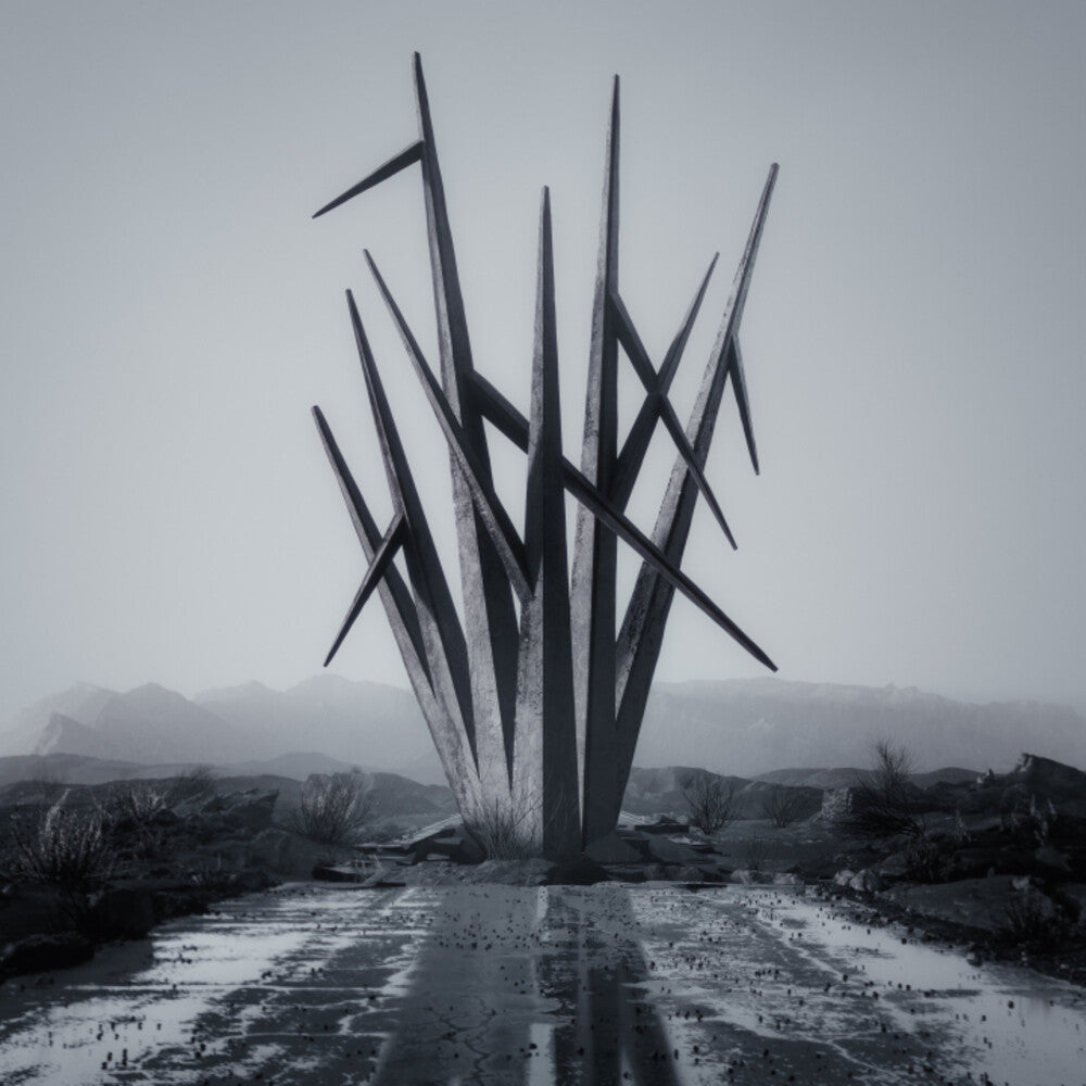 Teeth To Sky [LP]