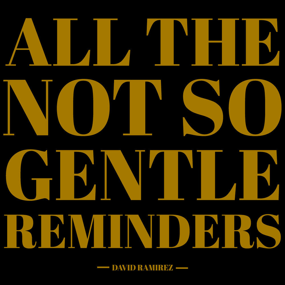 All The Not So Gentle Reminders  [2 LP]