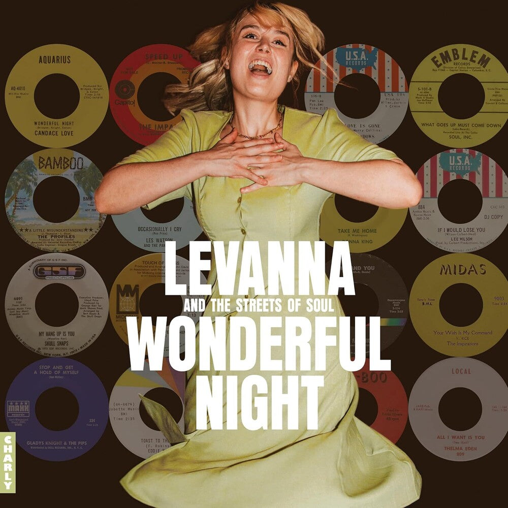 Wonderful Night Curated By Levanna / Various [LP] - Golden Apple Comics