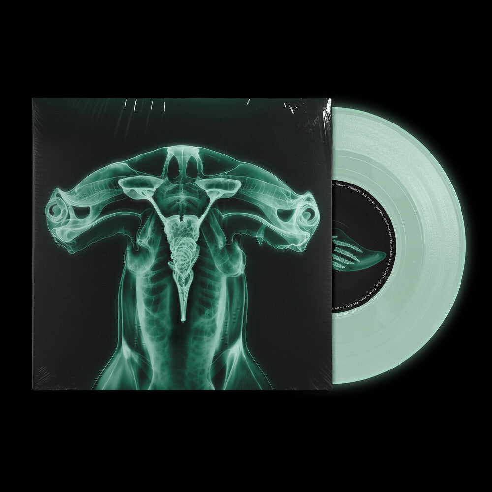 Shark Brain / Dolphin [Colored Vinyl]