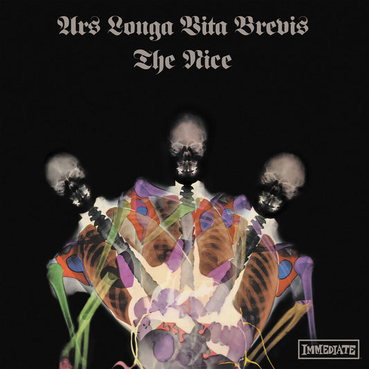 Ars Longa Vita Brevis - X-Ray Marbled [Colored Vinyl] [Limited Edition]