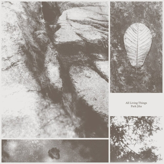 All Living Things [LP]