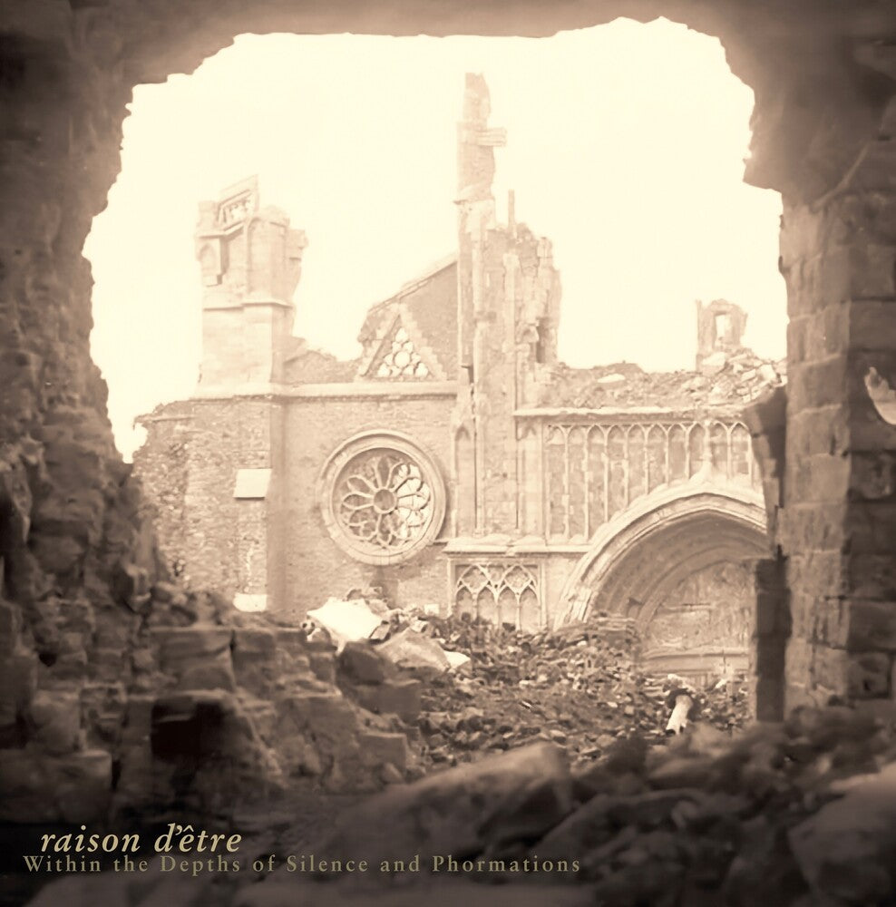 Within The Depths Of Silence And Phormations [LP]